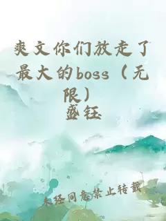 爽文你们放走了最大的boss（无限）