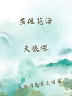 蛮极花海