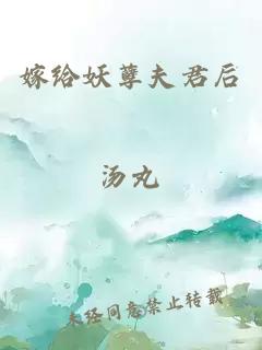 嫁给妖孽夫君后