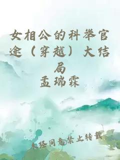 女相公的科举官途（穿越）大结局