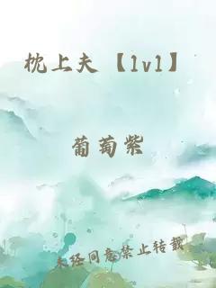 枕上夫【1v1】