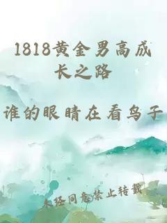 1818黄金男高成长之路