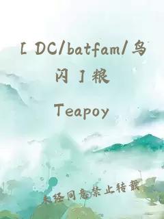 ［DC/batfam/鸟闪］粮