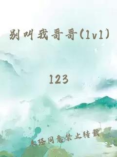 别叫我哥哥(1v1)