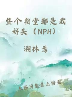 整个朝堂都是我姘头（NPH）