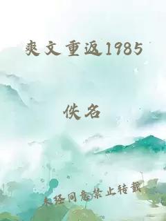 爽文重返1985