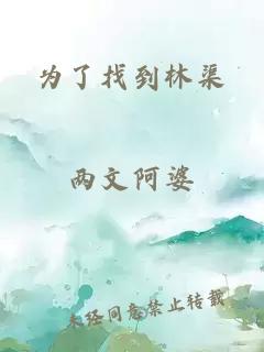 为了找到林渠