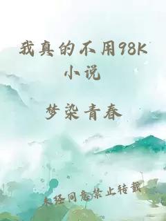 我真的不用98K小说