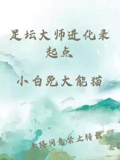 足坛大师进化录起点