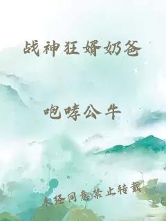 战神狂婿奶爸