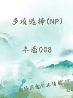 多项选择(NP)