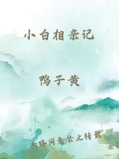 小白相亲记